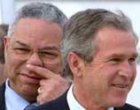 Bush Stinks!
